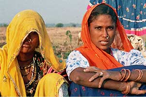  Des femmes Raika avec leur voile au Rajasthan 
